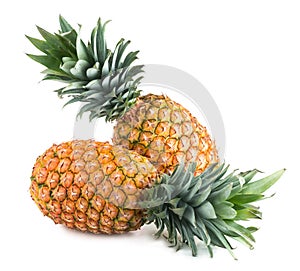 Pineapples