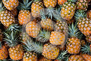 Pineapples background. Top view of pineapple fruit background. Generative AI
