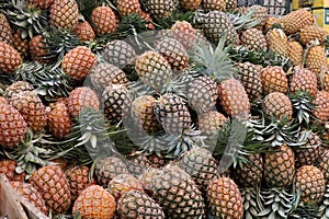 Pineapples at Fruit and Vegetable Market, Municipal Market, Panaji, Goa, India