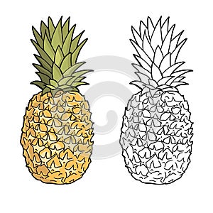 pineapples. Graphic stylized drawing.