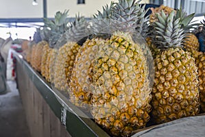 Pineapples on a local market in Nadi, Fiji
