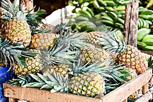 pineapples in the market, photo as a background taken in Nicoya, Costa rica central america, pineapple background