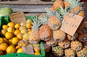 Pineapples and Oranges for Sale at Fruit Stand photo