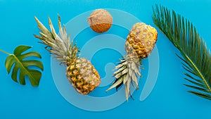 Pineapples and palm leaves on blue color summer background. Tropical summer pineapples coconut fruits flat lay