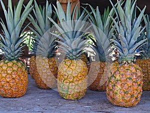 Pineapples at a Roadside Market in Hawaii
