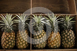 Pineapples for sale