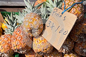 Pineapples for Sale at Fruit Stand in Panama