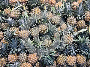 Pineapples for Sale in the Supermarket