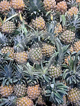 Pineapples for Sale in the Supermarket