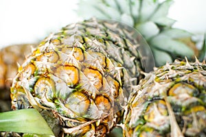 Pineapples on table,so sweet.Group of objects fruit.