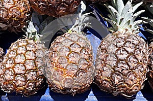 Pineapples at a village market in india