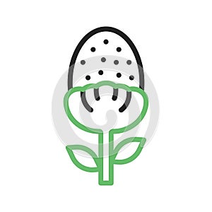 Pineappleweed Icon Image.