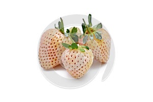 pineberry ripe berries isolated on white background close-up