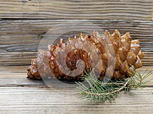 Pinecone with bumps on old boards