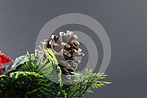 Pinecone Christmas