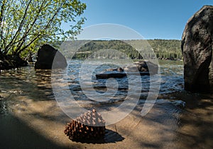 Pinecone, Donner Lake shoreline