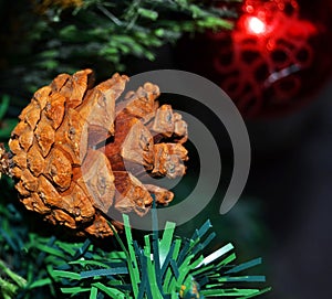 Pinecone on the green Christmas tree