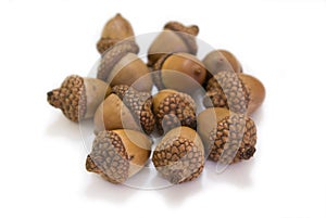 Pinecones