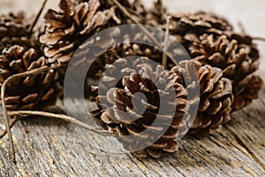 Pinecones