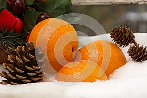 Pinecones and tangerines on the christmas composition in the sn