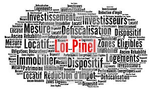 Pinel law word cloud called loi Pinel in French language