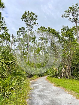 Pinelands trail, Everglades National Park, Florida, USA