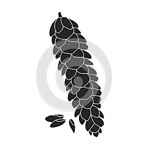 Pineof cone vector icon.Black vector icon isolated on white background pine of cone.