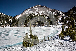 Pines along shore of Lake Helen, Lassen National Park`