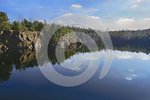 Pines on the bank of pond