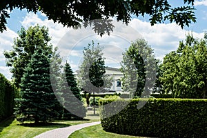 Pines and bushes on grass near walkway and white building in park