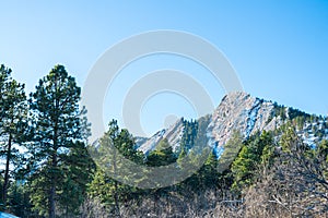 Pines and the Flatirons