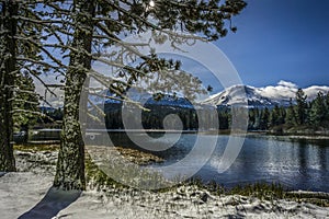 Pines and Lassen Peak after snow storm, Manzanita Lake, Lassen Volcanic National Park