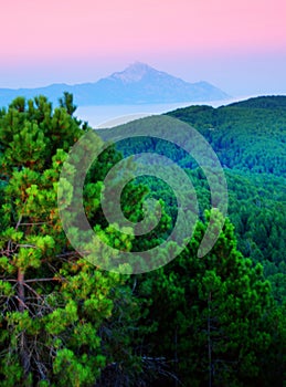 Pines, sea and mountains