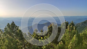 Pines on top of mountains, hiking before sunset, soft colors and shadows. View above valley during summer time. landscape Suchy in