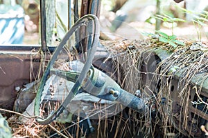 Pinestraw on Dash of Old Car