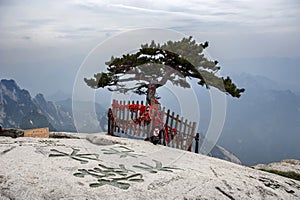 A pinetree at the top of mountain Hua photo