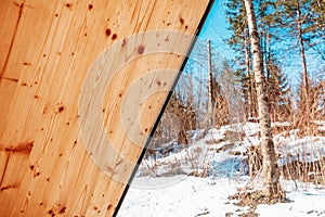 Pinewood wall covering and view of pine tree woods through the window