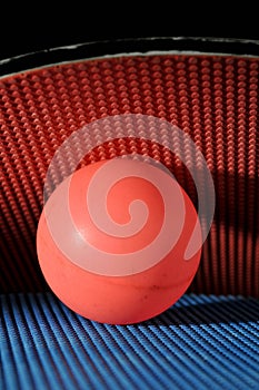 Ping pong ball with table tennis paddles