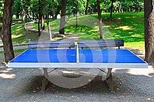 Ping Pong Table
