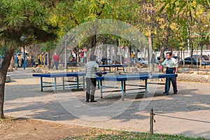 Ping-pong tables in a park