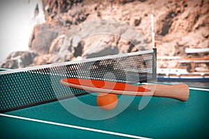 Ping-pong tennis table with Paddle