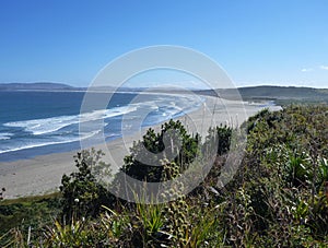 Pinguin reservation islotes de punihuil on chiloe island in chile