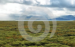 Pingvellir national park in Iceland