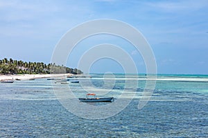 Pingwe beach Unguja Zanzibar Island Tanzania East Africa