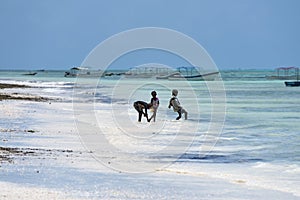 Children on the Pingwe beach, Zanzibar, Tanzania, Africa