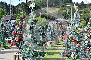 In the Pinho Bravo square in Campos do JordÃ£o, several trees decorated for Christmas