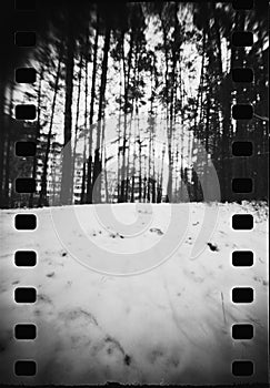 Pinhol photo of the winter forest on film