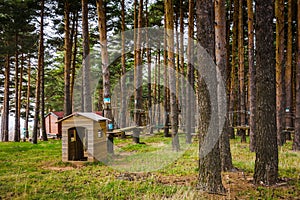 Pinilla Sky Station in spring