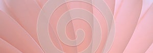 Pink abstract background with bizarre pattern. Soft lines transition light and dark shadows. Photos with soft focus
