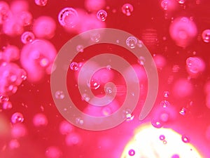 Pink abstract bubble background